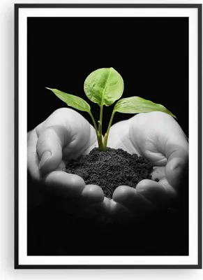 Produktbild von Gerahmtes Poster - Schwarzer Rahmen - Natur Pflanze Wissenschaft Schutz - 70x100 cm - Wand Bild - Wanddeko - Wandbilder - Wandposter - Bilderrahmen - Bilder - Kunstdruck - Wandbild - P2BPA70x100-2188