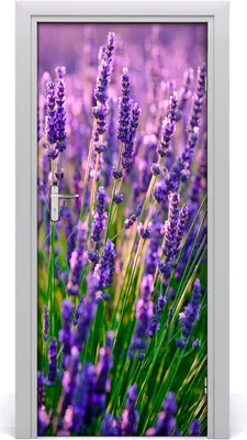 Produktbild von Tulup Türaufkleber 85x205 cm Dekorative Aufkleber Selbstklebend Wasserdichte Tapete Abnehmbar Schlafzimmer Wohnzimmer Wohnkultur - Lavendelfeld