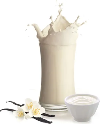 Produktbild von Vanille Joghurt Milchshake Pulver 10 kg