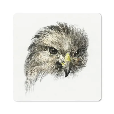 Produktbild von MuchoWow® Mauspad Mousepad Kopf eines Raubvogels - Gemälde von Jean Bernard 20x20 cm - Mousepads - Maus Mat - Pad - Mausunterlage - Desk Mat - Bureauartikeln