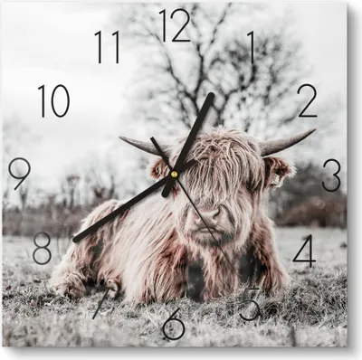 Produktbild von DEQORI Glasuhr 30x30 cm Zahlen 'Ruhendes Hochland' Wanduhr Glas Uhr Design leise Küchenuhr