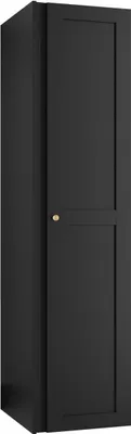 Produktbild von MIRJAN24 Kleiderschrank Orion Ramiro 1D, Garderobenschrank mit Drehtür, Kleiderhaken, Metallgriffe in der Farbe Gold (Farbe: Schwarz)
