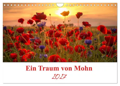 Produktbild von Ein Traum von Mohn (Wandkalender 2027 DIN A4 quer), CALVENDO Monatskalender