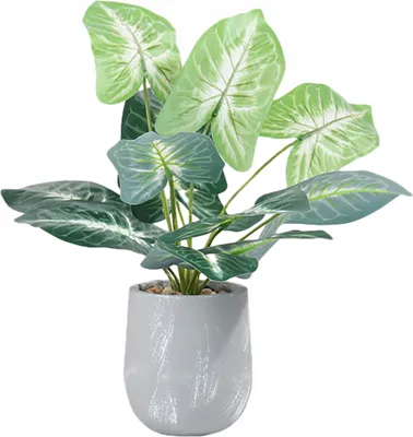 Produktbild von Künstliche Pflanze Blume im Topf für Home Office realistische 40 cm Alocasia