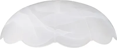 Produktbild von Lampenglas Ersatzglas  Glasschirm Alabaster Glas Ø 450mm Leuchtenglas matt
