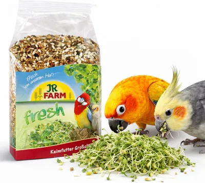 Zdjęcie produktu dla JR FARM Big Parakeet - Kiełki dla nimf i innych średnich papug 1kg