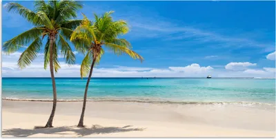 Produktbild von MuchoWow® Poster Strand - Boot - Meer 40x20 cm - Poster für die Wand - Poster Schlafzimmer