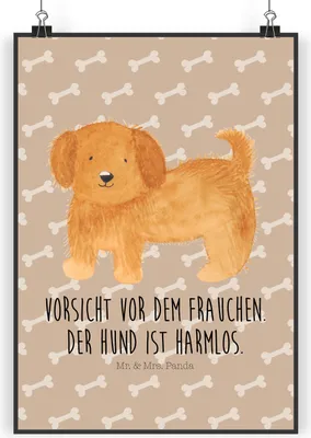 Produktbild von Mr. & Mrs. Panda Bild Hund Flauschig DIN A4 - Hundeglück - Geschenk, drucke, Poster, Frauchen, Sprüche, Witzig, Hunde, Kunstdruck, wanddeko, Wanddekoration