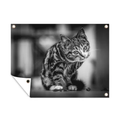 Obrázek produktu pro MuchoWow® Zahradní plakáty - Kočka - černá - bílá - 30x40 cm - Zahradní dekorace