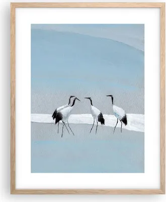 Produktbild von Gerahmtes Poster - Rahmen in heller Eiche - Vögel Kraniche Natur - 40x50 cm - Wand Bild - Wanddeko - Wandbilder - Kunstposter - Wandposter - Bilderrahmen - Bilder - Kunstdruck - P2NPA40x50-4921