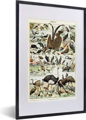 Produktbild von MuchoWow® Gerahmtes Poster Vogel - Natur - Tiere - Vintage - Kunstwerk 40x60 cm - Poster mit Schwarzem Bilderrahmen Wandposter Rahmen Foto Bilder - Poster in Rahmen