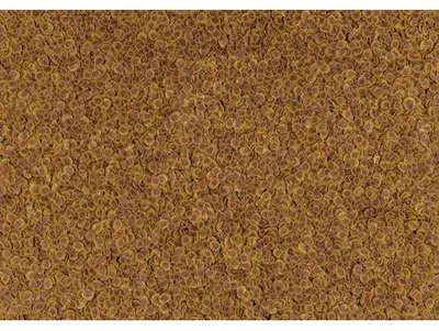 Image de TetraPro nourriture pour poissons d'ornement Colour 500 ml
