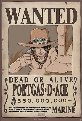 Produktbild von One Piece - Poster - Wanted Ace