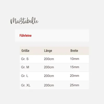 Produktbild von Wolters Führleine Professional Comfort riverside blue/sky blue, Größe: M
