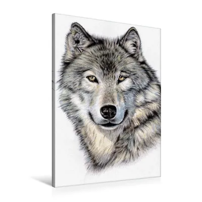 Produktbild von Calvendo Textil-Leinwand 60 cm x 90 cm hoch Der Sibirische Wolf, Zeug Nicole; 7435800