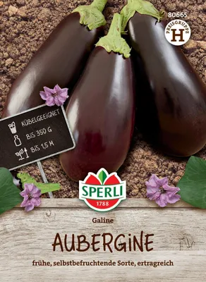 Produktbild von SPERLI Auberginensamen Galine F1 Solanum melongena 10 Pflanzen