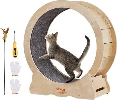Image de Roue d'exercice pour chats 750x320x800mm Roue d'exercice pour chats en contreplaqué de bouleau et de peuplier Roue d'exercice pour chats Faible bruit Tapis intérieur amovible Roue d'exercice pour chats Convient aux chats de 2,72 à 3,63 kg