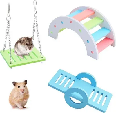 Image de Ensemble de jouets en bois colorés pour petits animaux
