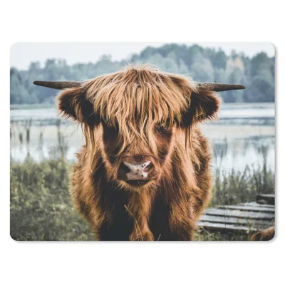 Produktbild von MuchoWow® Mauspad Mousepad Kühe - Schottische Hochlandbewohner - Braun - Natur 23x19 cm - Mousepads - Maus Mat - Pad - Mausunterlage - Schreibtischunterlage - Mauspad