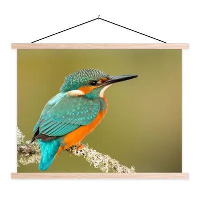Produktbild von MuchoWow® Textilposter Eisvogel - Tiere - Vogel 120x90 cm mit holzfarbenen Rahmen - Magnetisch