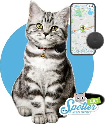 Produktbild von Pet Spotter | Najmenší GPS tracker pre mačky | Na upevnenie na obojok | Sledovač aktivity | Bez mesačného predplatného