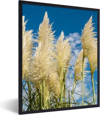 Produktbild von MuchoWow® Gerahmtes Poster Pampasgras - Pflanze - Natur 60x80 cm - Poster mit Schwarzem Bilderrahmen Wandposter Rahmen Foto Bilder - Premium - Wanddeko Wohnzimmer