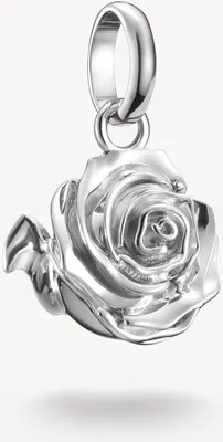 Produktbild von Thomas Sabo Charm Club Connect CC1263-001-21 Charm Anhänger