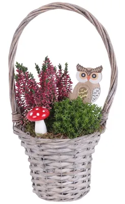 Produktbild von Herbstarrangement Körbchen aus herbstlichen Pflanzen