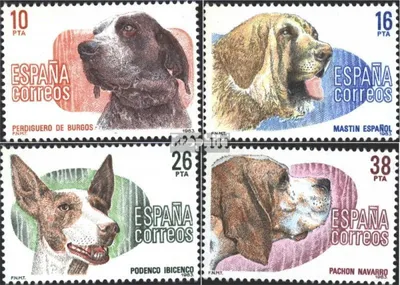 Produktbild von Briefmarken Spanien 1983 Mi 2594-2597 (kompl.Ausg.) postfrisch Rassehunde