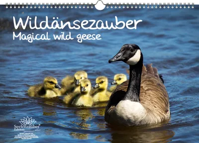 Produktbild von Wildgänsezauber DIN A3 Kalender - Immerwährender Kalender  Wildgänse und Wildgänsebabys - Seelenzauber
