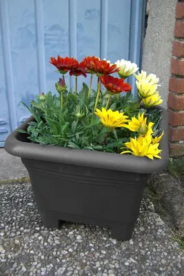 Produktbild von Pflanzkuebel Nora anthrazit, Maße:14 cm