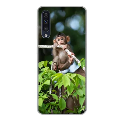 Produktbild von MuchoWow® Handyhülle Schutzhülle Hülle für Samsung Galaxy A50 Baby - Affe - Äste Silikon Softcase Handy Hülle - Mobiltelefonhülle