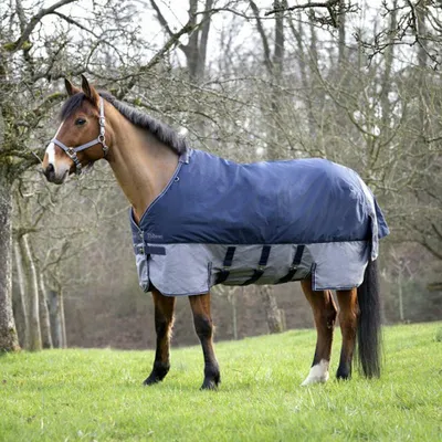 Produktbild von Equithème Tyrex 600D Belly Belt - marineblau/grau