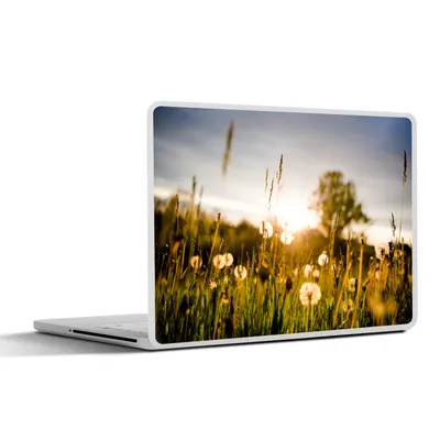 Produktbild von MuchoWow® Laptop Aufkleber Sticker Cover Löwenzahn - Gras - Sonnenuntergang 25x18 cm - Laptop-Deko