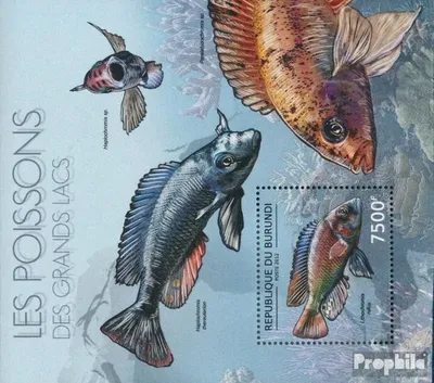 Produktbild von Briefmarken Burundi 2012 Mi Block280 (kompl.Ausg.) postfrisch Fische