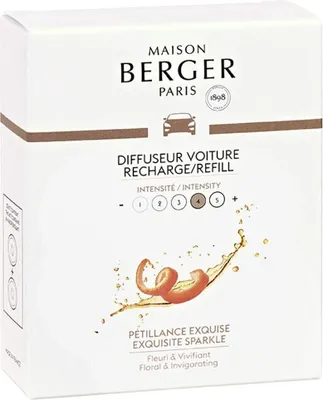 Produktbild von Maison Berger Paris 006426, 2 Stück(e), Box