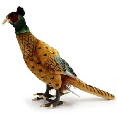 Produktbild von Fasan 51cm Hahn Vogel Wildtier Realistisch Deko Stofftier Plüschtier