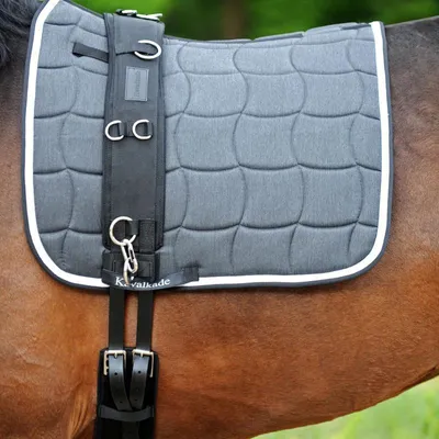 Immagine prodotto di KAVALKADE Guaina da affondo Classic nera, Pony (P2)