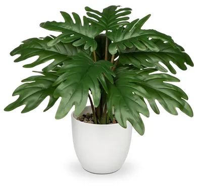 Produktbild von Künstlicher Philodendron, klein, 28 cm, mit Topf, realistische Kunstpflanze, künstliche Pflanze für Badezimmer, Wohnzimmer, Schlafzimmer, Tischdekoration