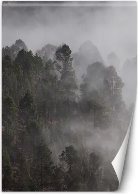 Produktbild von Vlies fototapete Grüner Wald im Nebel 200x280 cm Feeby Grün inkl. Kleber einfache Montage