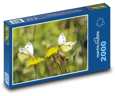 Obrázek produktu pro martinpuzzle - Puzzle 2000 - Motýli - opýlení, květiny