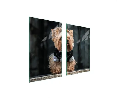 Produktbild von Herdabdeckplatten 2 teilig 75x52 Glaskeramikkochfeld Abdeckung Glas Schneidebrett Hund Yorkshire