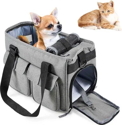 Produktbild von Famanu Transportbox für kleine Haustiere - Katzen, Hunde, Kaninchen, 40 x 20 x 24 cm