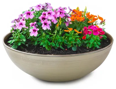 Produktbild von Runde bauchige 20 cm Pflanzschale für draussen, champagner beige