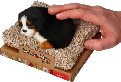 Zdjęcie produktu dla Perfect Petzzz Mały berneńczyk na legowisku 13 cm