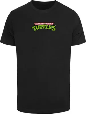 Obrázek produktu pro Pánské tričko Mr. Tee Turtles Team Tee black - 4XL