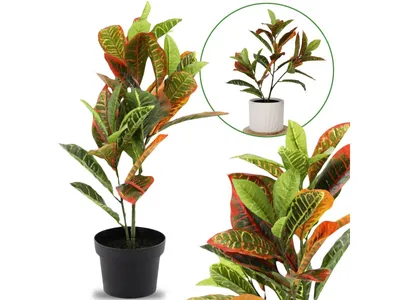 Obrázek produktu pro Umělá listnatá rostlina v květináči Ficus, 58 cm