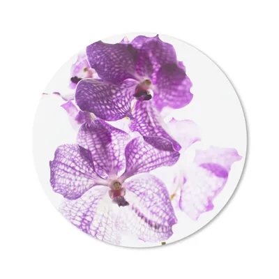 Produktbild von MuchoWow® Mauspad Mousepad Lila Orchideen 20x20 cm - Mousepads - Maus Mat - Pad - Mausunterlage - Schreibtischmatte