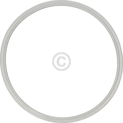 A circular gray gasket on a white background.