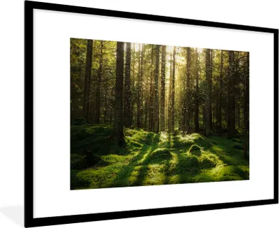 Produktbild von MuchoWow® Gerahmtes Poster Bäume - Wald - Moos - Pflanzen - Sonne - Natur 90x60 cm - Poster mit Schwarzem Bilderrahmen Wandposter Rahmen Foto Bilder - Wanddekoration - Fotos